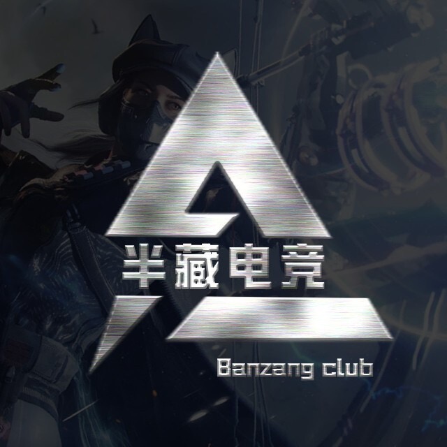 半藏电竞